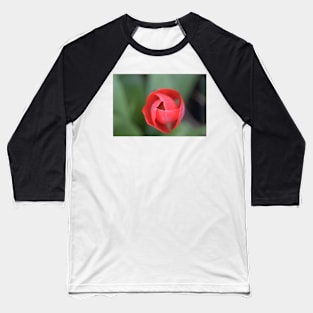 Red Tulip with green background bokeh Baseball T-Shirt